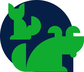 Cães e gatos